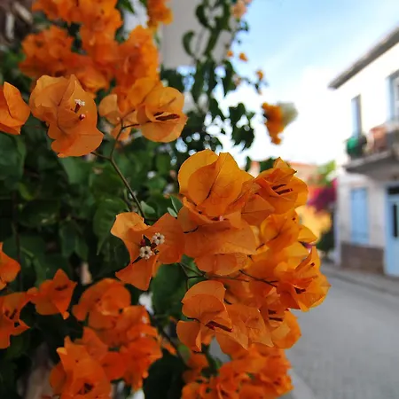 Chez Belle Helene Galaxidi